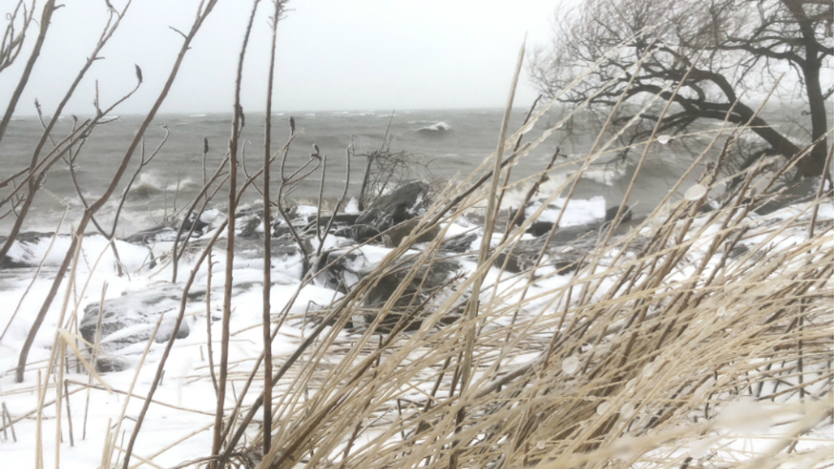 Lake Erie Ice